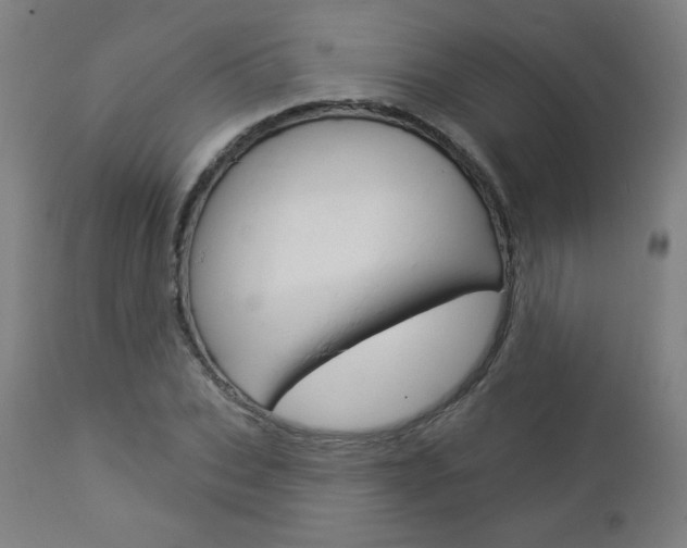 X0000112960927200908270916