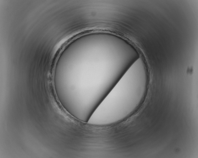 X0000112960928200908270916