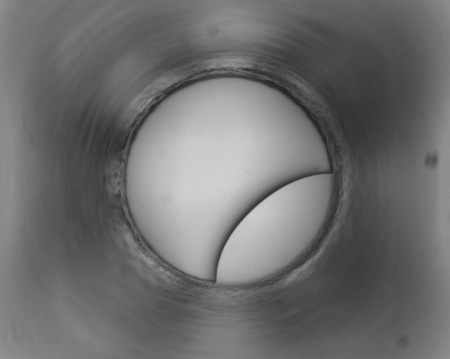 X0000112960929200908270916