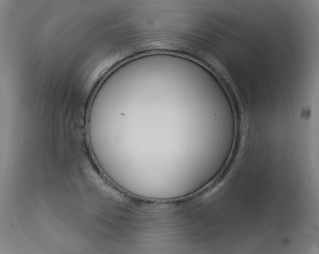 X0000112960930200908270916