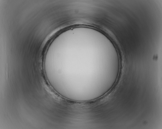 X0000112960931200908270916