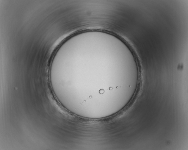 X0000112960933200908270916