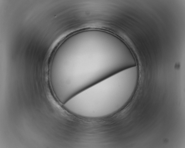 X0000112960939200908270916