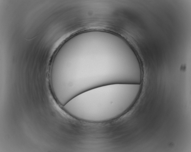 X0000112960941200908270916