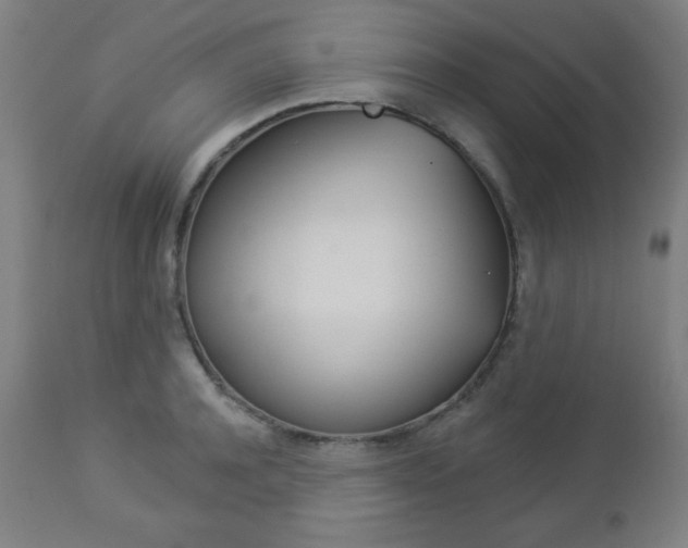 X0000112960944200908270916