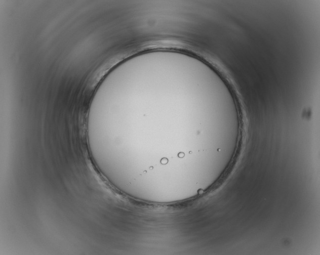 X0000112960945200908270916