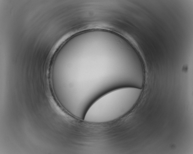 X0000112960947200908270916