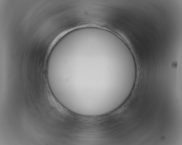 X0000112960948200908270916