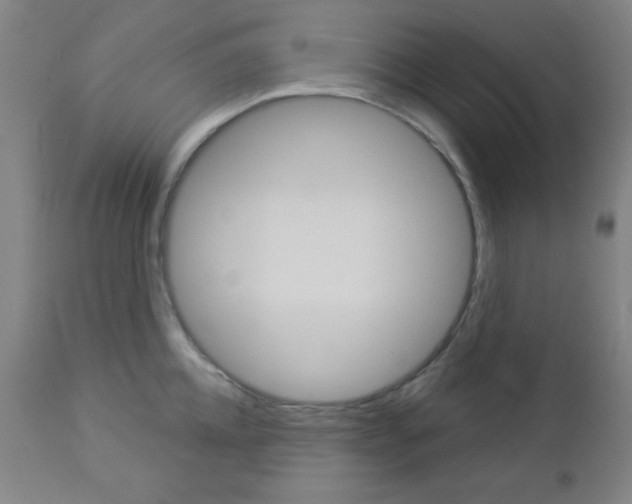 X0000112960952200908270916