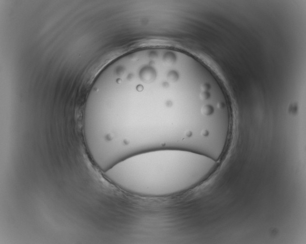 X0000112960953200908270916