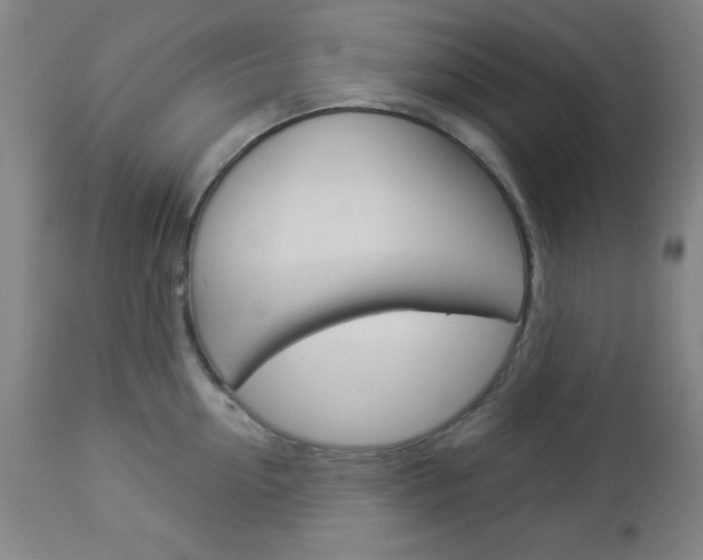 X0000112960954200908270916