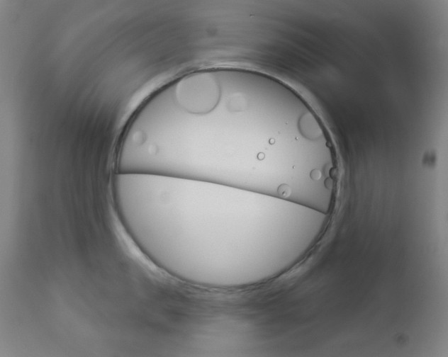 X0000112960957200908270917