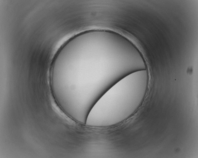 X0000112960958200908270917