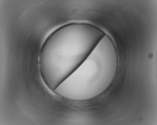X0000112960959200908270917