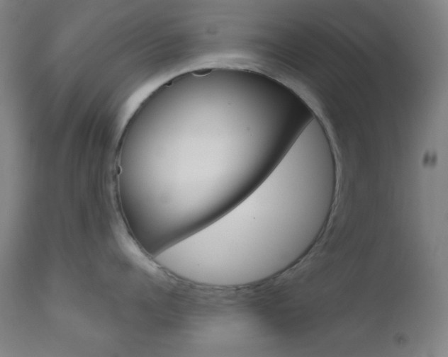 X0000112960960200908270917