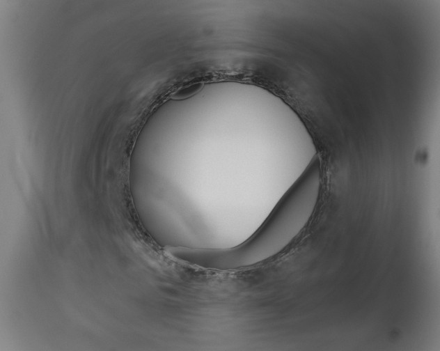 X0000112960961200908270916