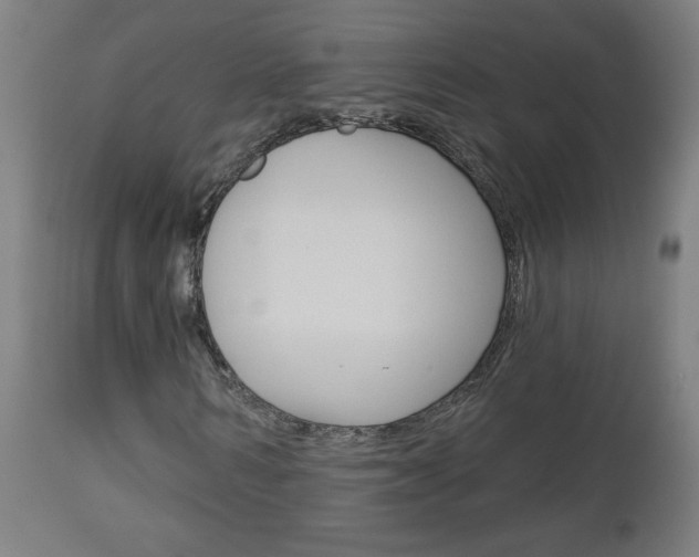 X0000112960962200908270916