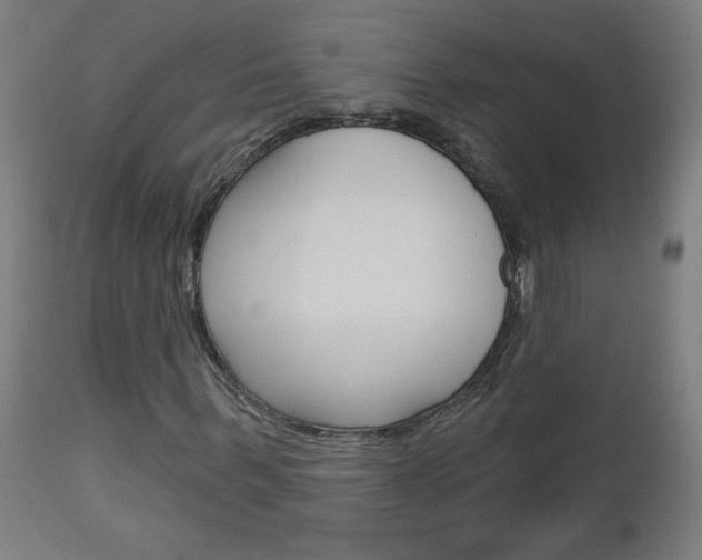 X0000112960963200908270916