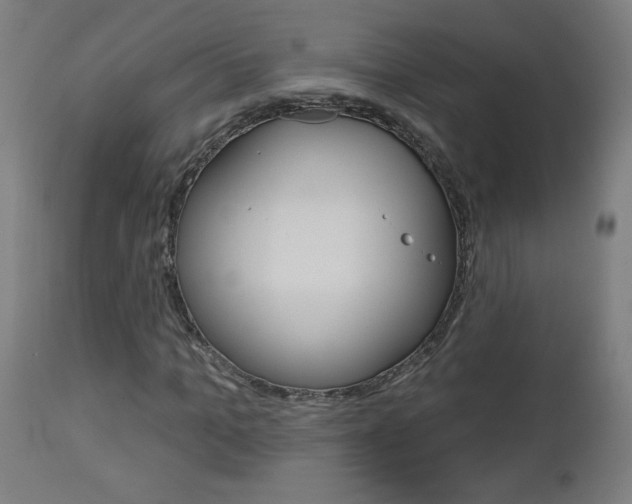 X0000112960965200908270916