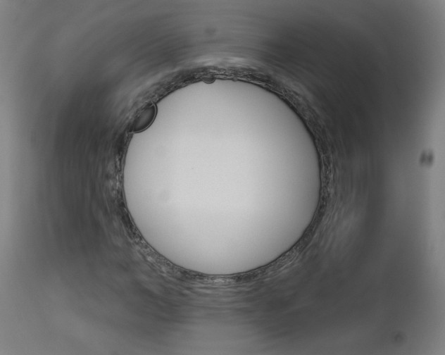 X0000112960966200908270916