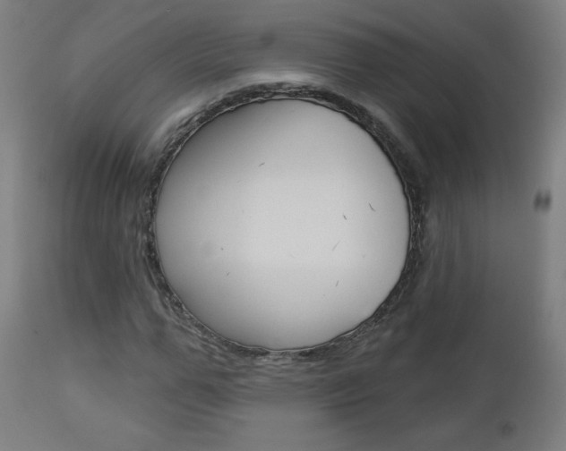 X0000112960967200908270916