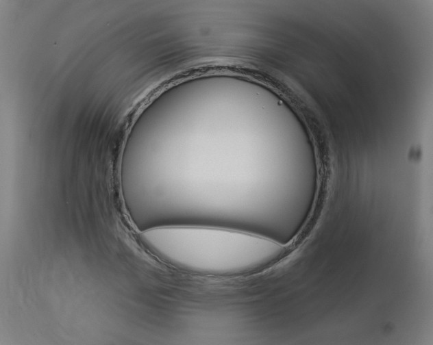 X0000112960969200908270916