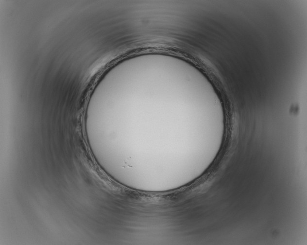 X0000112960970200908270916