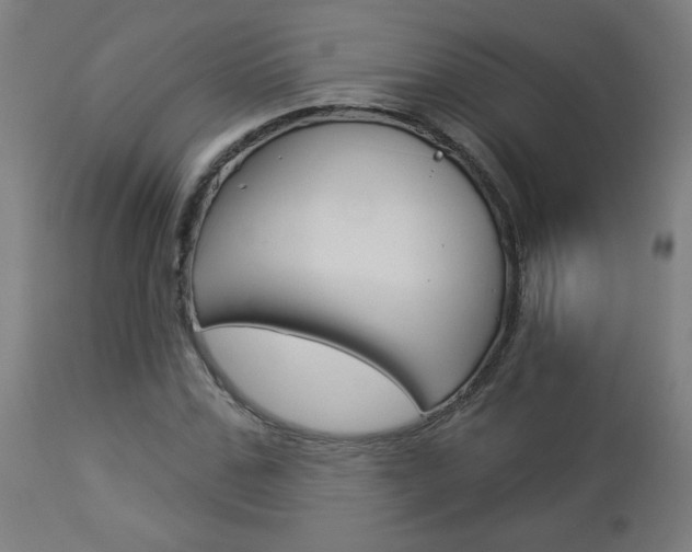 X0000112960971200908270916
