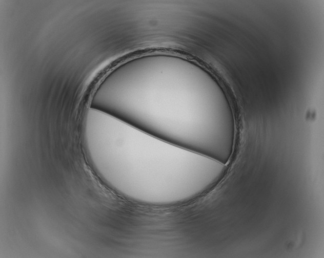 X0000112960975200908270916