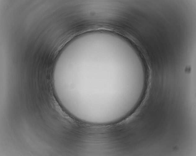 X0000112960977200908270916