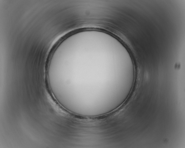 X0000112960980200908270915