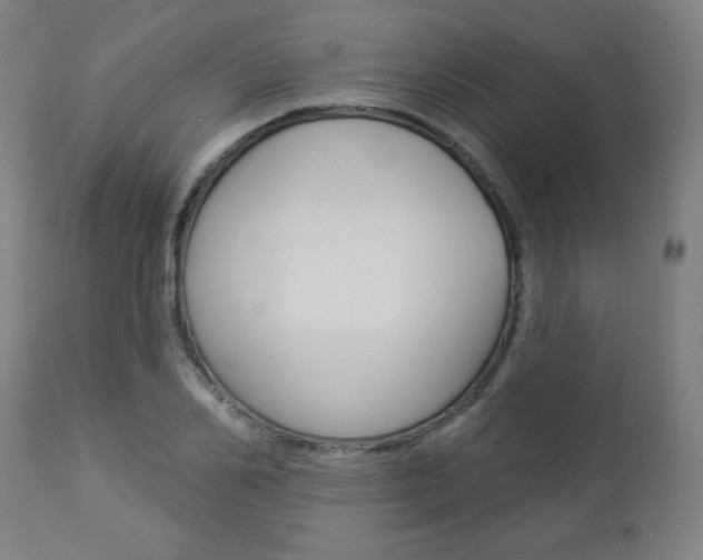 X0000112960982200908270915