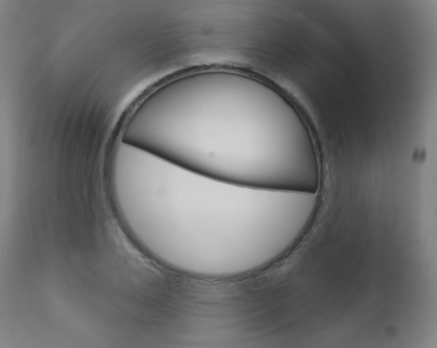 X0000112960983200908270915