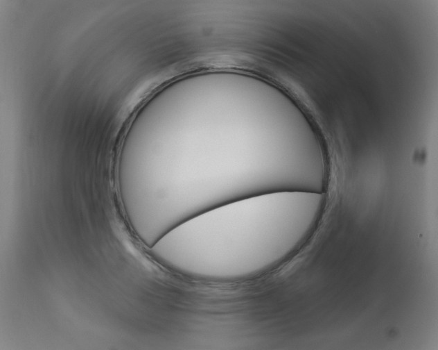 X0000112960986200908270915