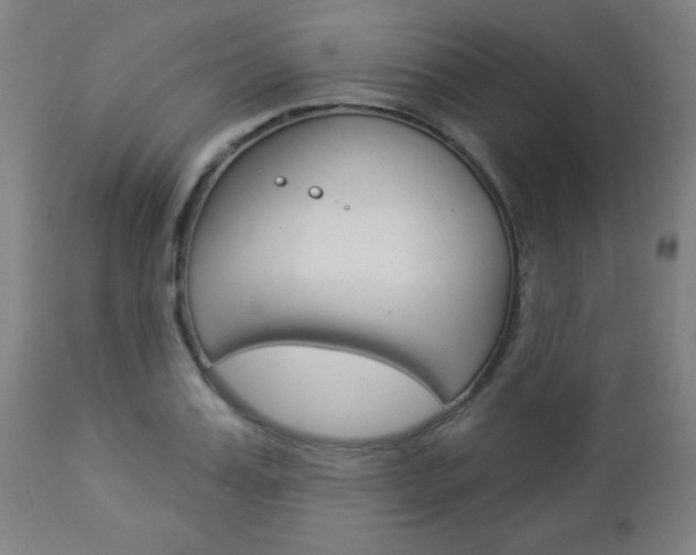 X0000112960987200908270915