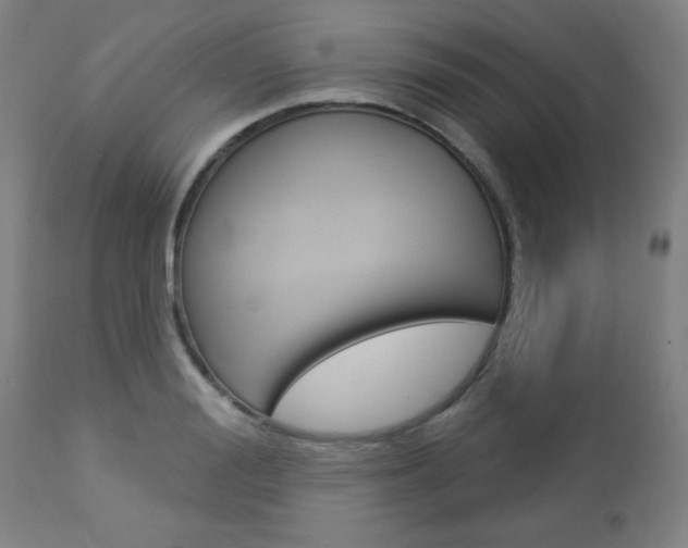 X0000112960988200908270915