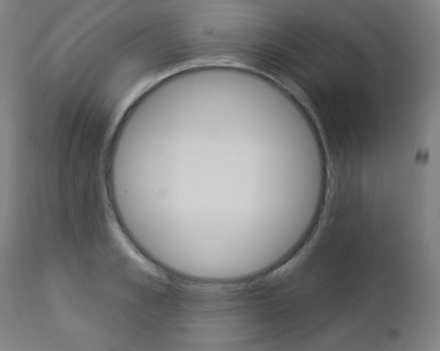 X0000112960989200908270915