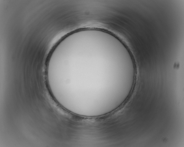 X0000112960990200908270915