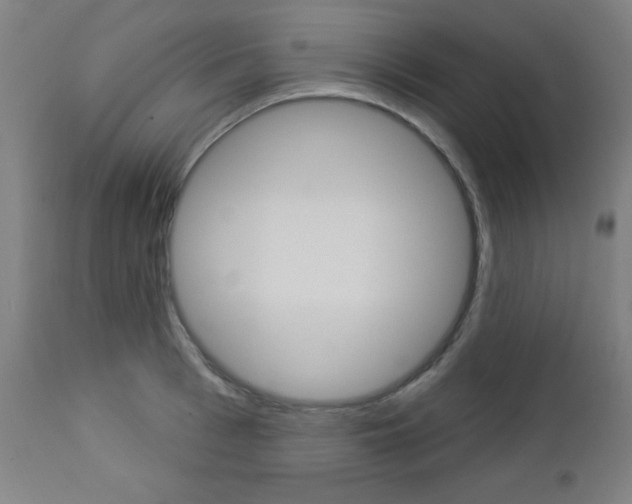 X0000112960993200908270915