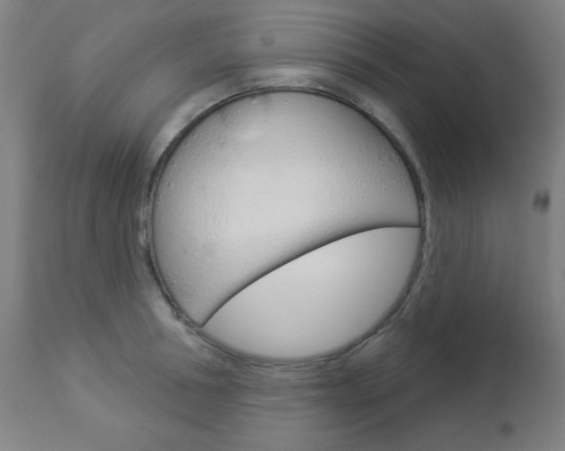 X0000112960994200908270915