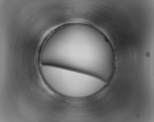 X0000112960995200908270915