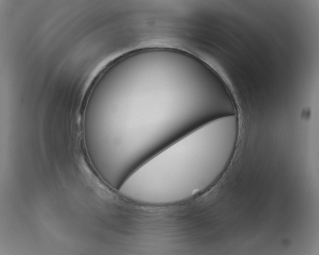 X0000112960996200908270915