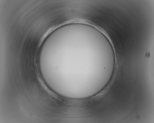 X0000112960997200908270915