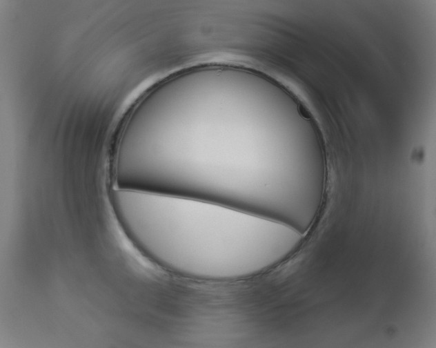 X0000112960999200908270915