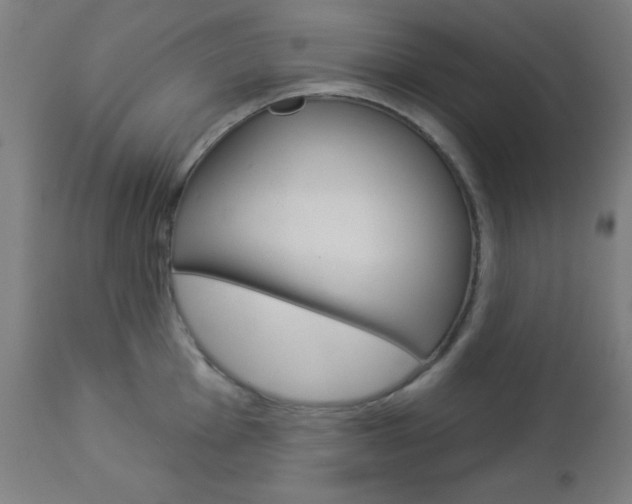 X0000112961001200908270915