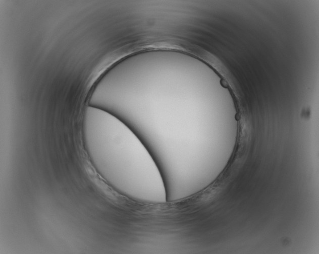X0000112961002200908270915