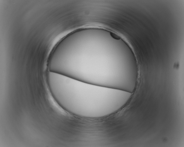 X0000112961003200908270915