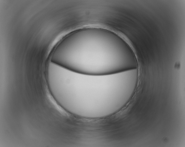 X0000112961005200908270915