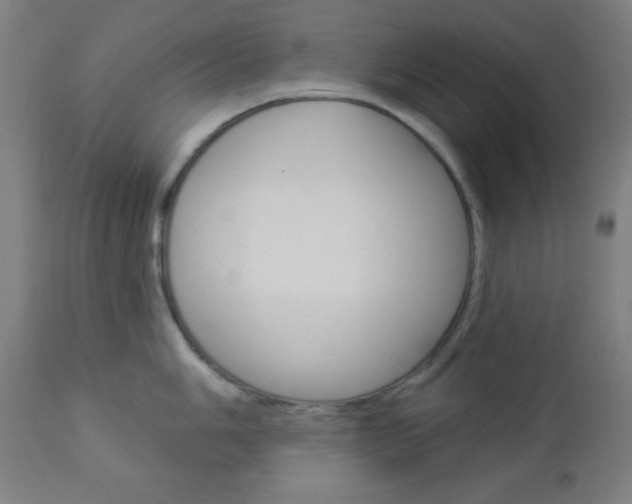 X0000112961006200908270915