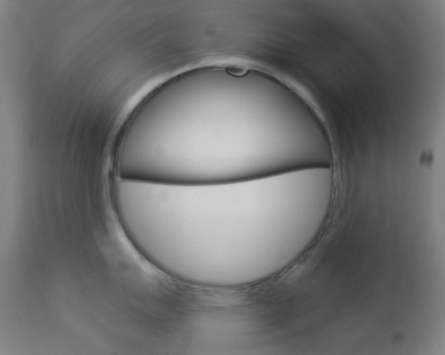 X0000112961007200908270915